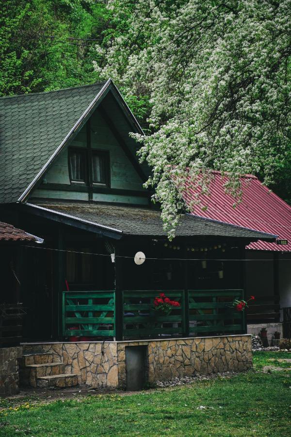 Vikendica,, Tadic,, Ovcar Banja Villa Екстериор снимка